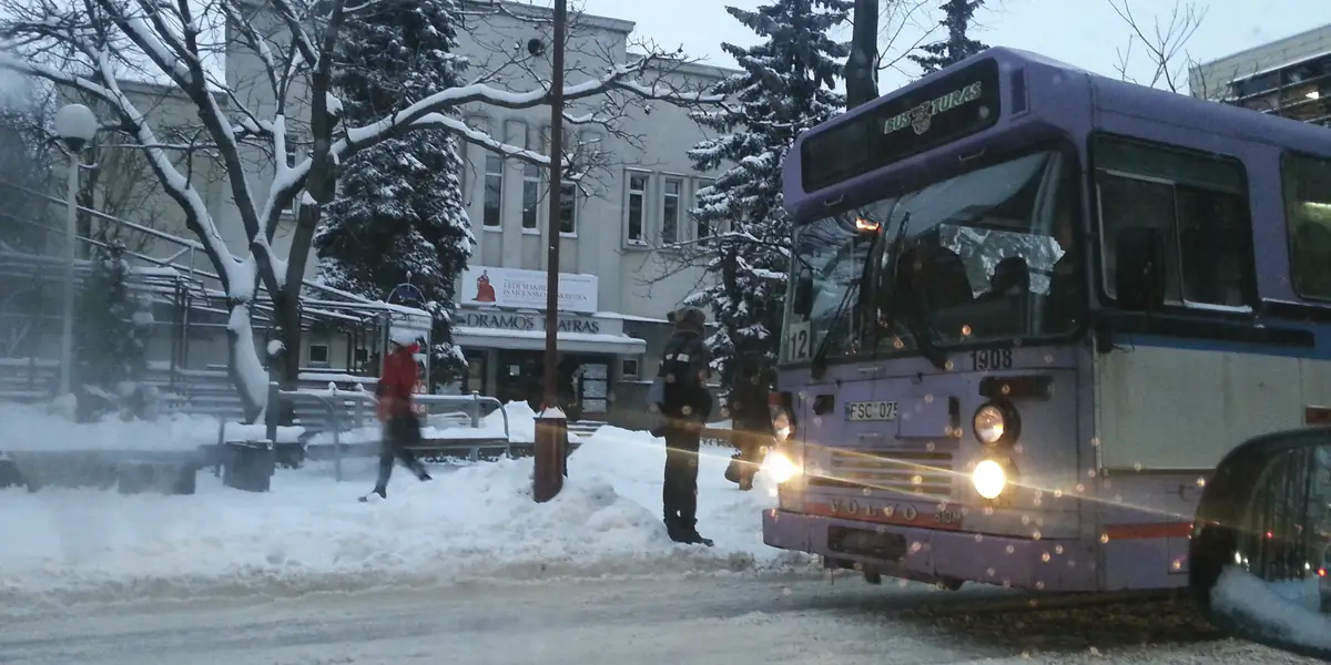 Žiemos vakaras prie Valstybinio Šiaulių dramos teatro: apsnigti medžiai, užrašas „Dramos teatras“ virš įėjimo, dešinėje – miesto autobusas stotelėje.